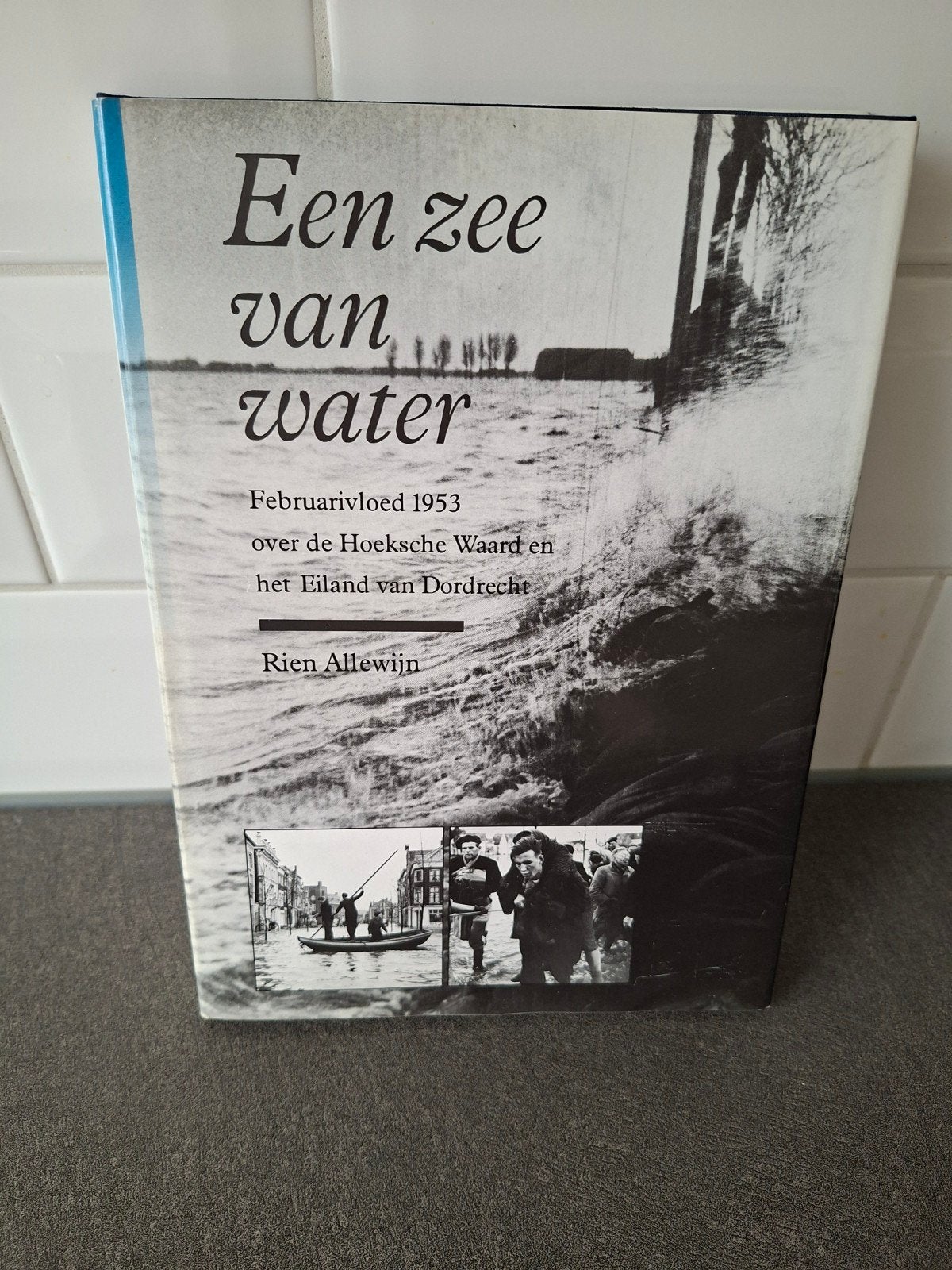 Een zee van water - Februari vloed 1953 Hoeksche Waard, Ophalen of Verzenden, 20e eeuw of later, Zo goed als nieuw, Rien Allewijn