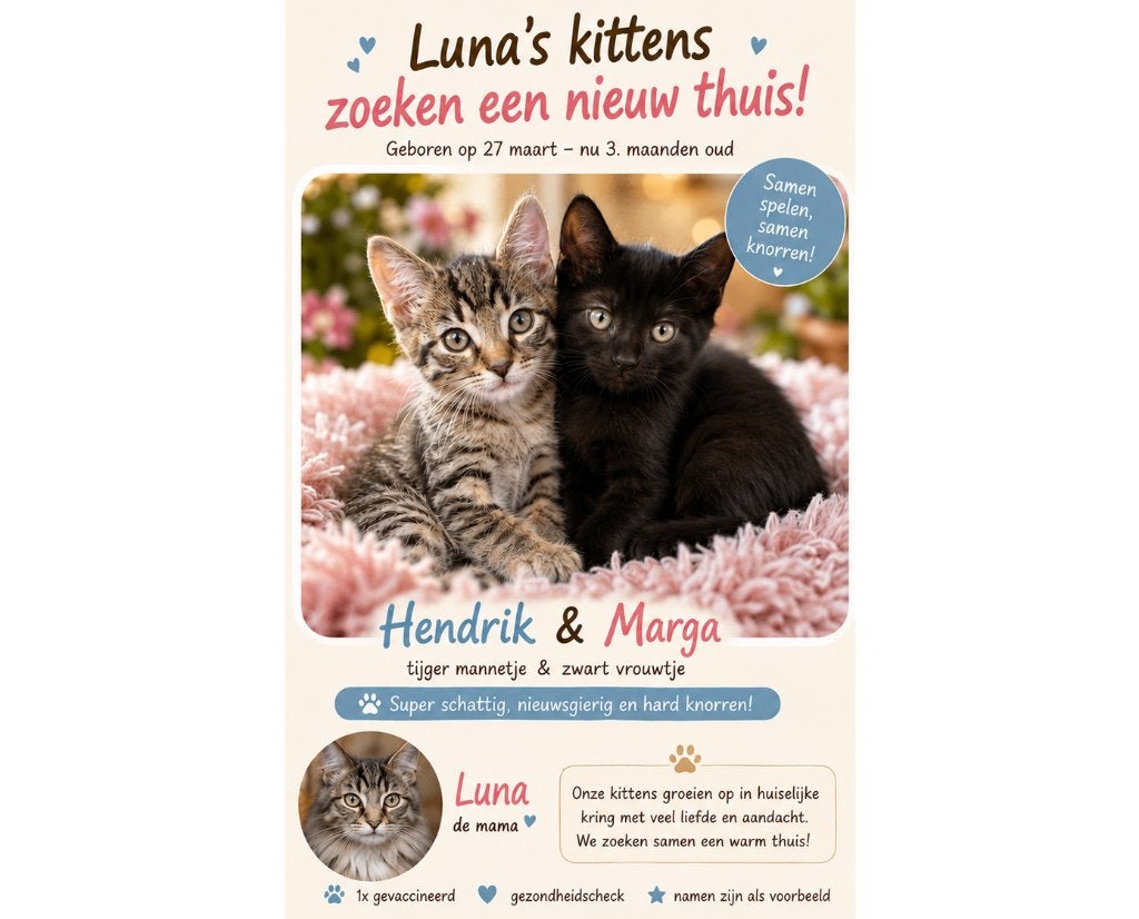 Hendrik & Marga, Meerdere dieren, Kortharig, 0 tot 2 jaar