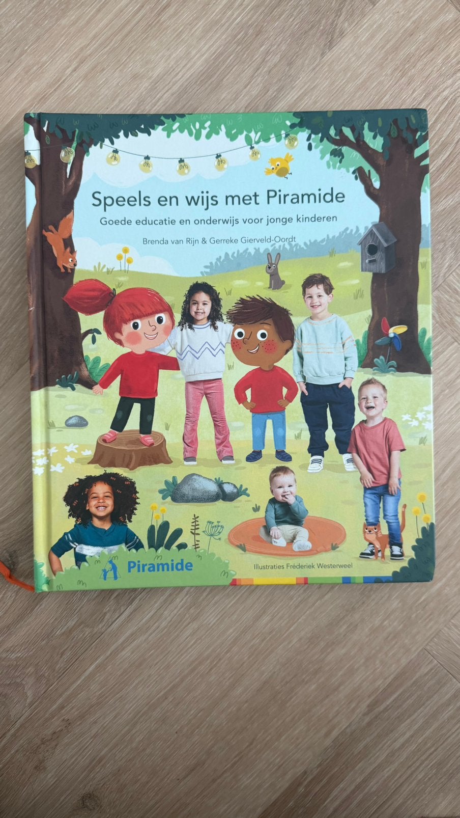 Brenda van Rijn - Speels en wijs met Piramide, Boeken, Ophalen of Verzenden, Zo goed als nieuw, Brenda van Rijn; Gerreke Gierveld-Oordt
