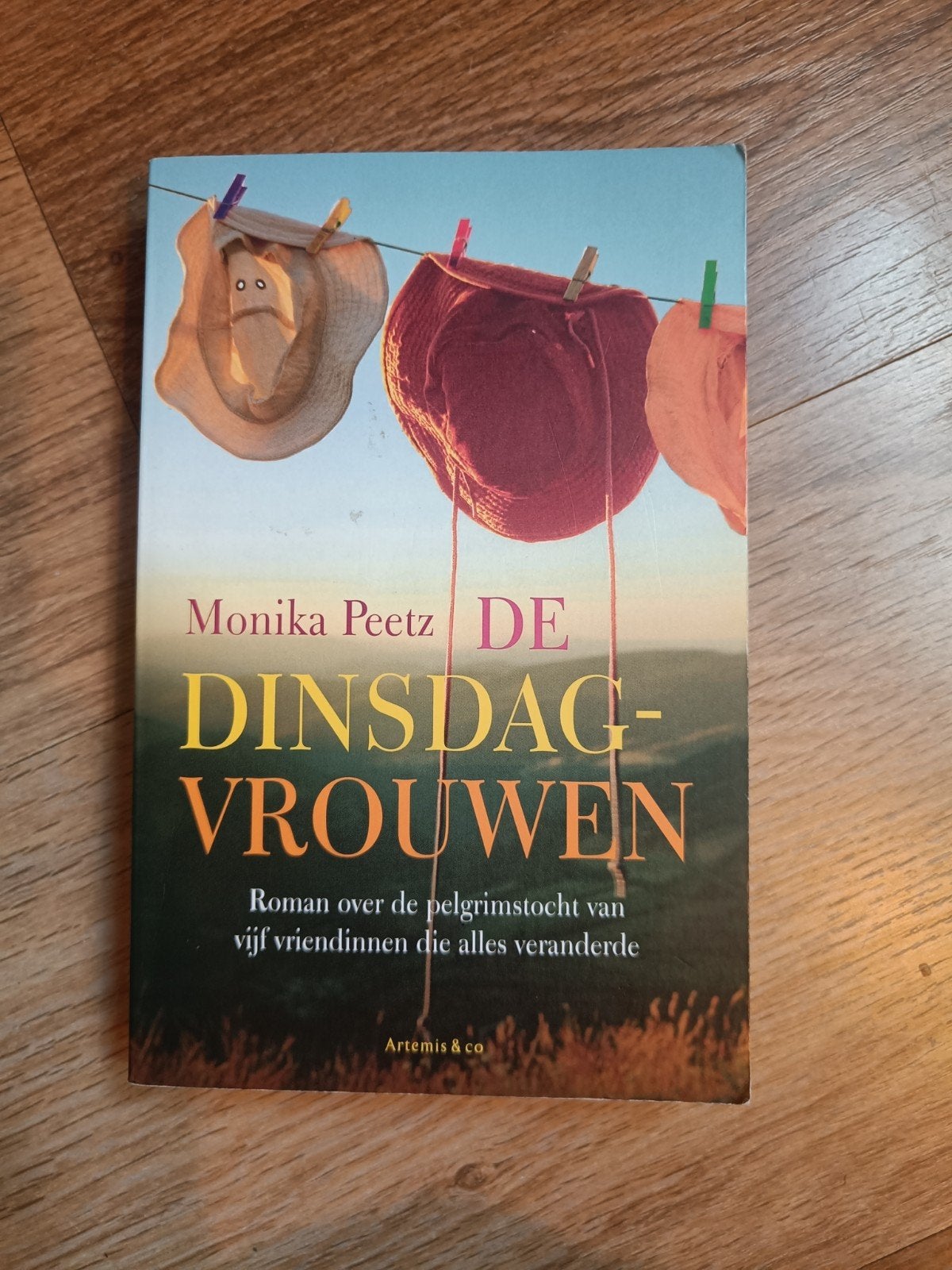 Monika Peetz - De dinsdagvrouwen, Boeken, Ophalen of Verzenden, Gelezen, Monika Peetz