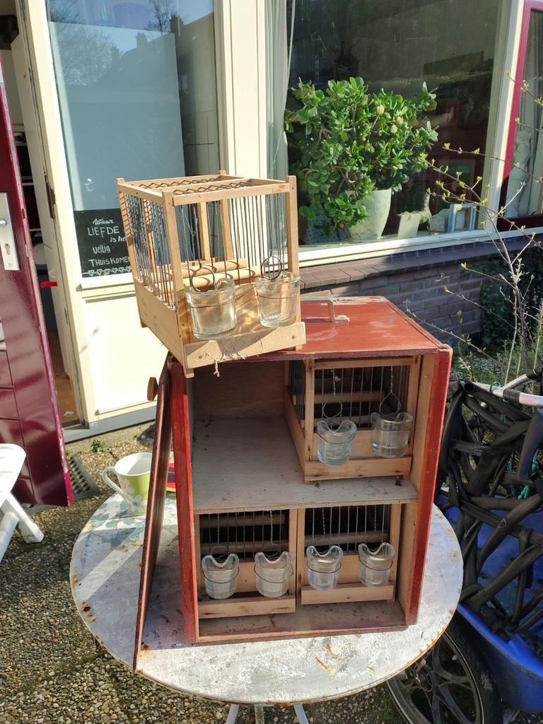 TT zangkooien voor waterslagers te koop., Ophalen, Zo goed als nieuw, Hout, Vogelkooi