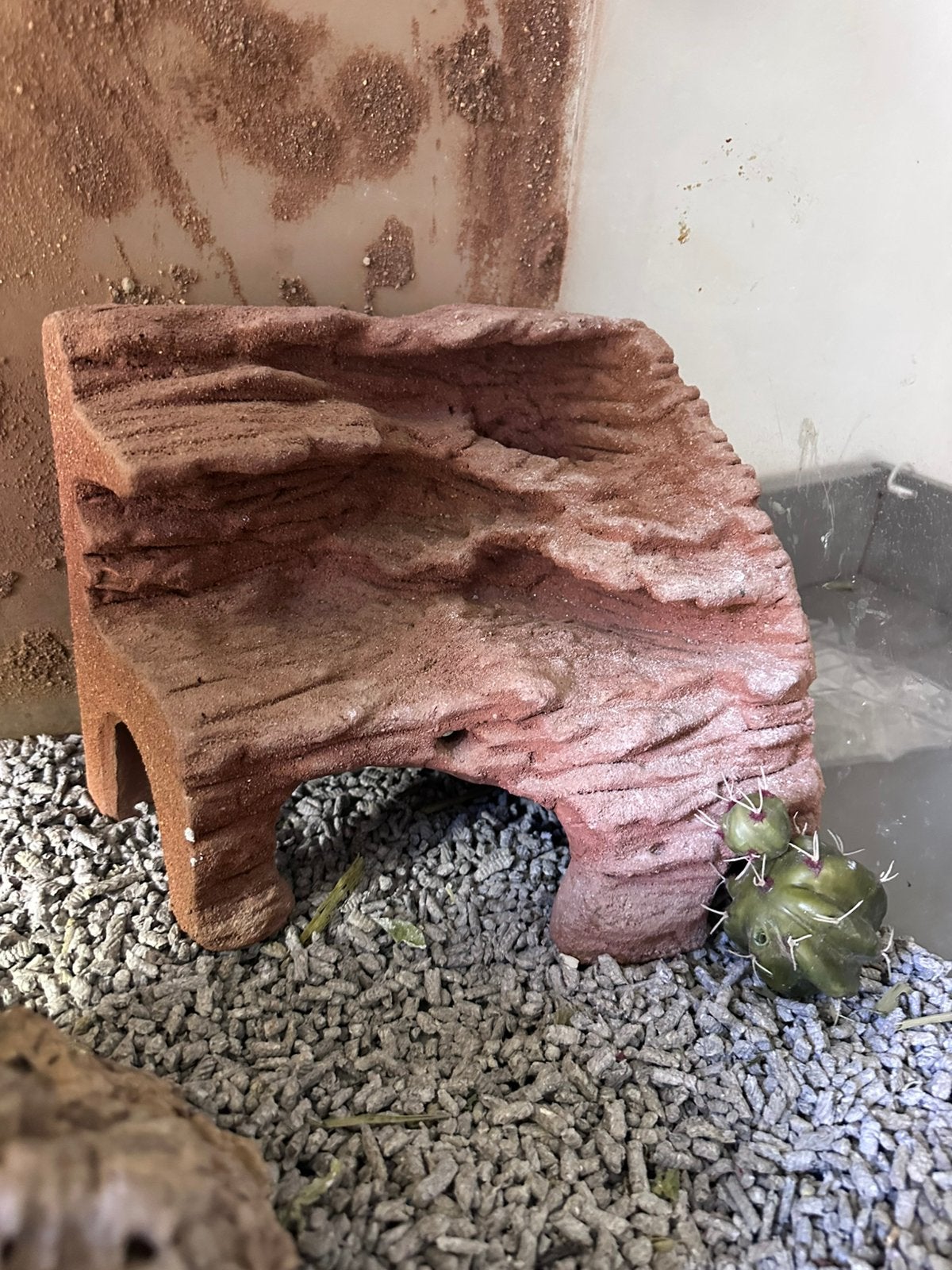 Toebehoren Reptielen, Ophalen