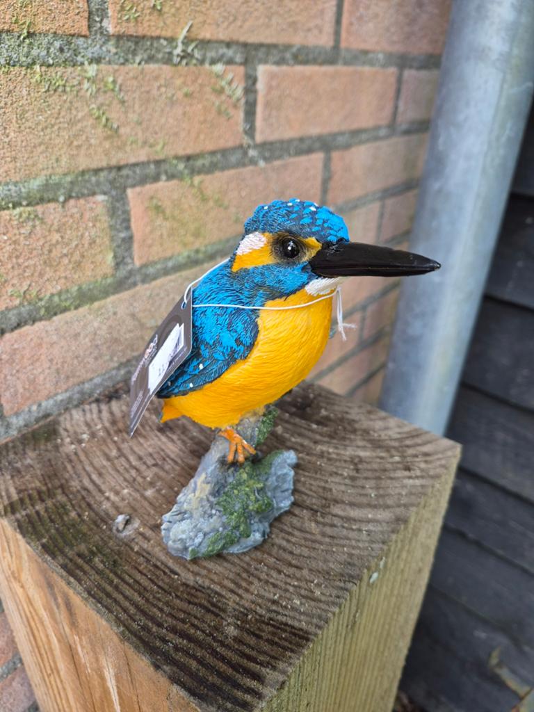 Polystone IJsvogel op tak - Decoratief beeldje, Ophalen of Verzenden, Nieuw, Meerkleurig, Composieten
