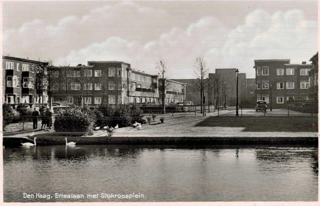 DEN HAAG Ericalaan met Stokroosplein . Mooie gave kaart !, Ophalen of Verzenden, 1940 tot 1960, Ongelopen, Zuid-Holland