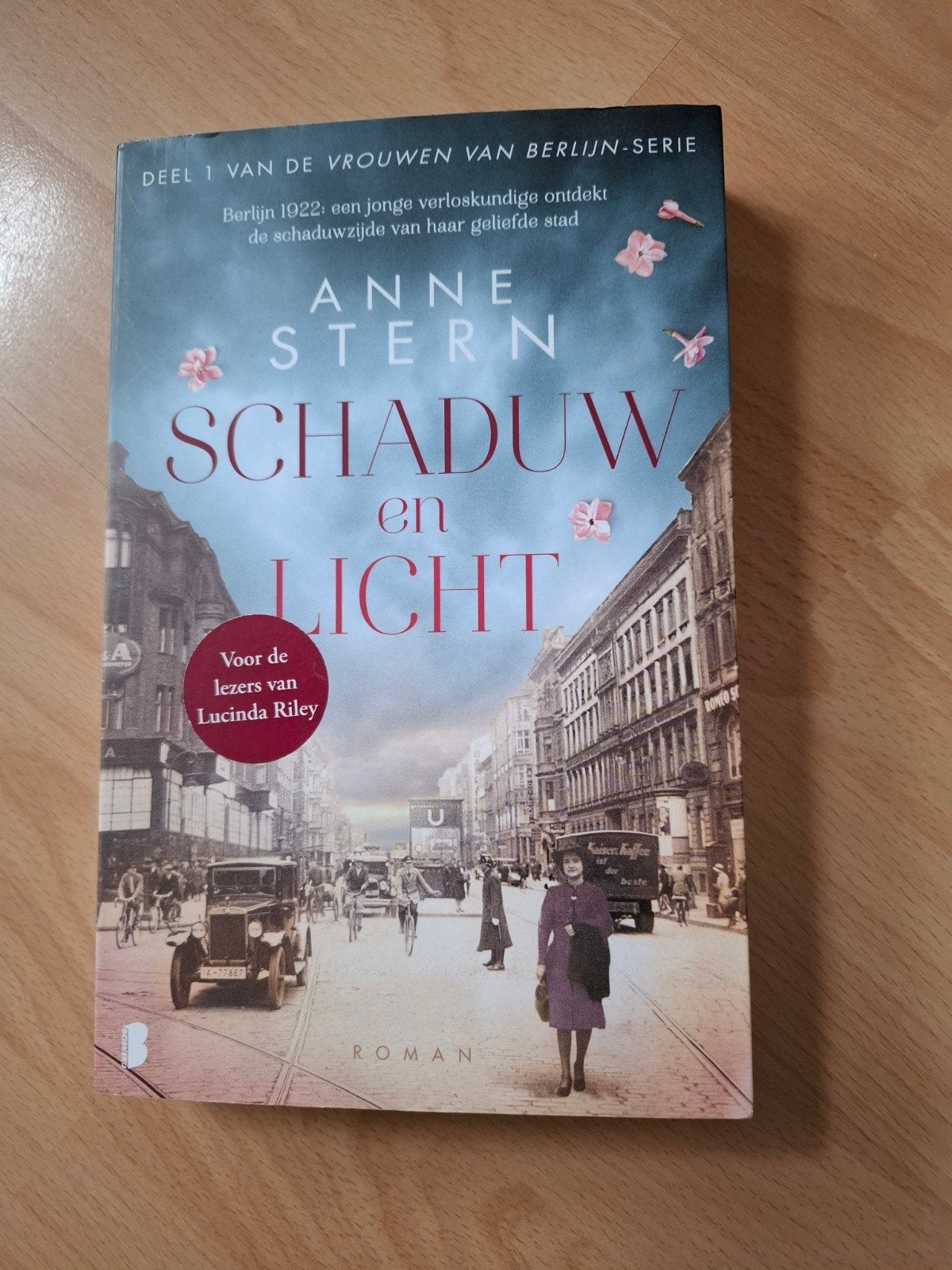 Anne Stern schaduw en licht, Ophalen of Verzenden