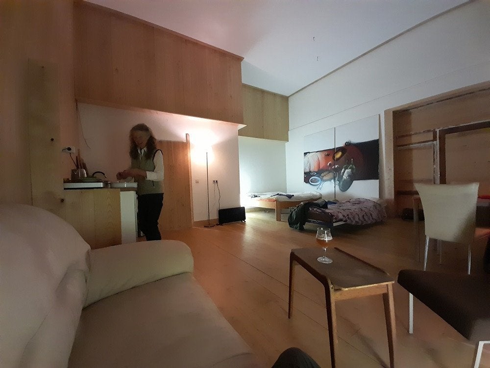 woning, Huizen en Kamers, Huizen te koop, Friesland, 1500 m² of meer, Woning met bedrijfsruimte, B