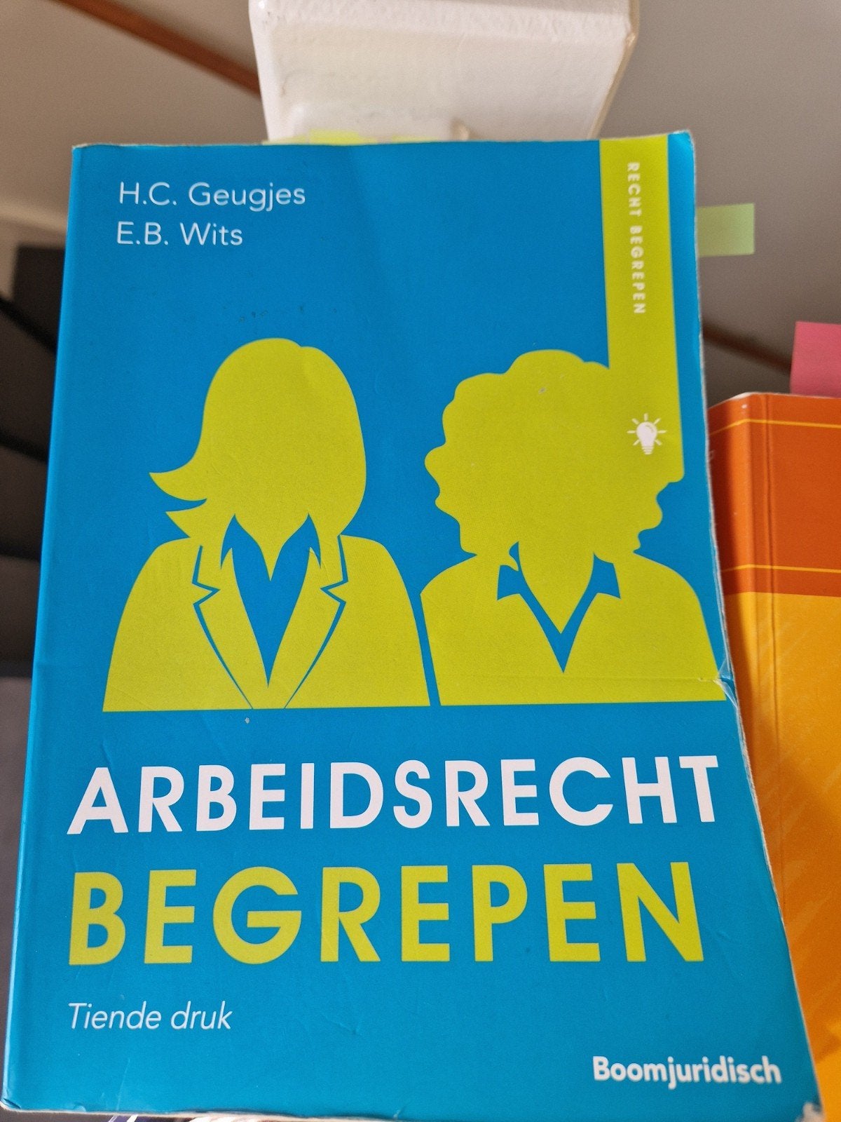 Hannie Geugjes - Arbeidsrecht begrepen, Sociale wetenschap, Ophalen of Verzenden, Zo goed als nieuw, Hannie Geugjes; Erica Wits