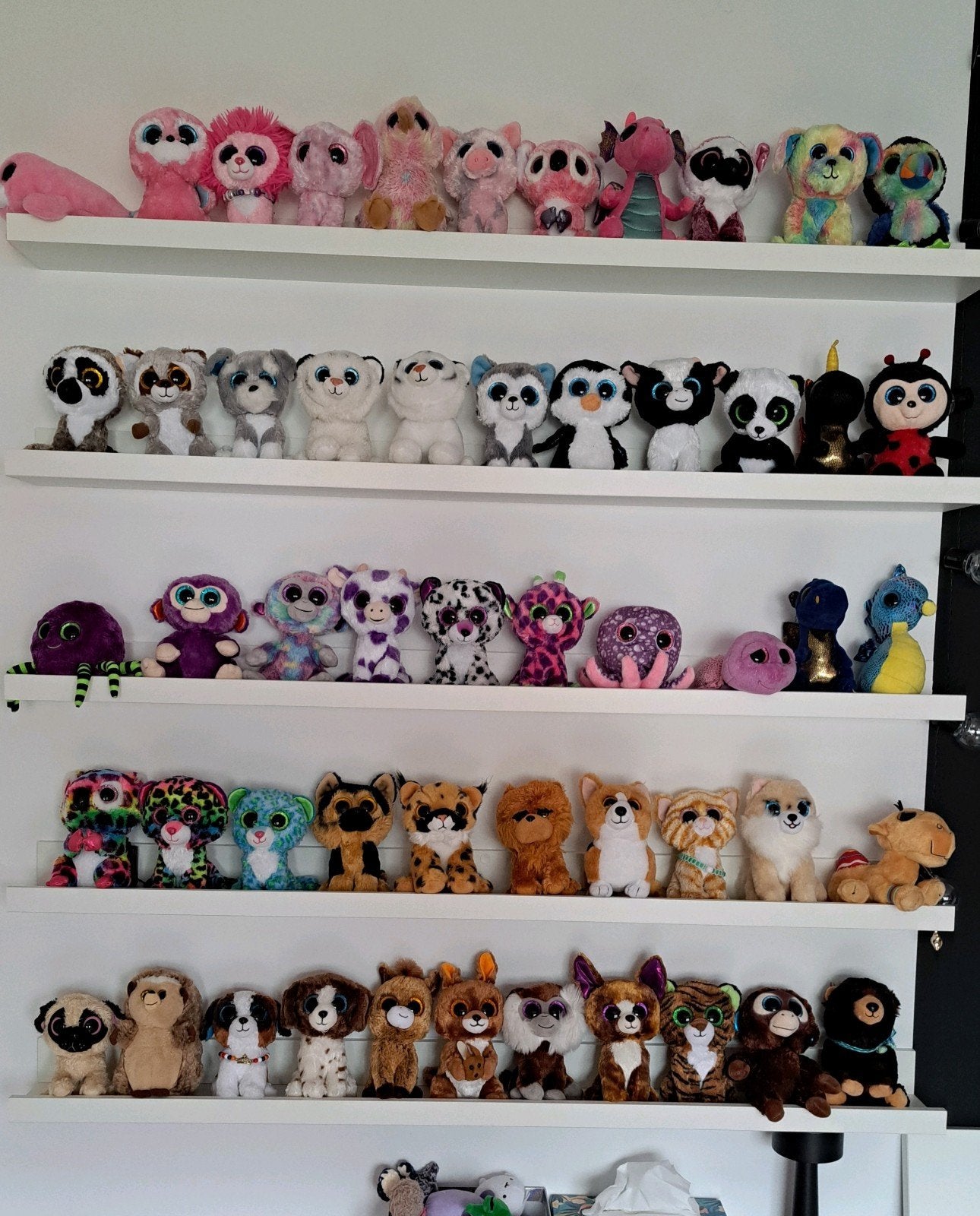 Grote collectie Ty Beanie Boo's knuffels 15cm, Overige karakters, Overige typen, Ophalen of Verzenden, Zo goed als nieuw