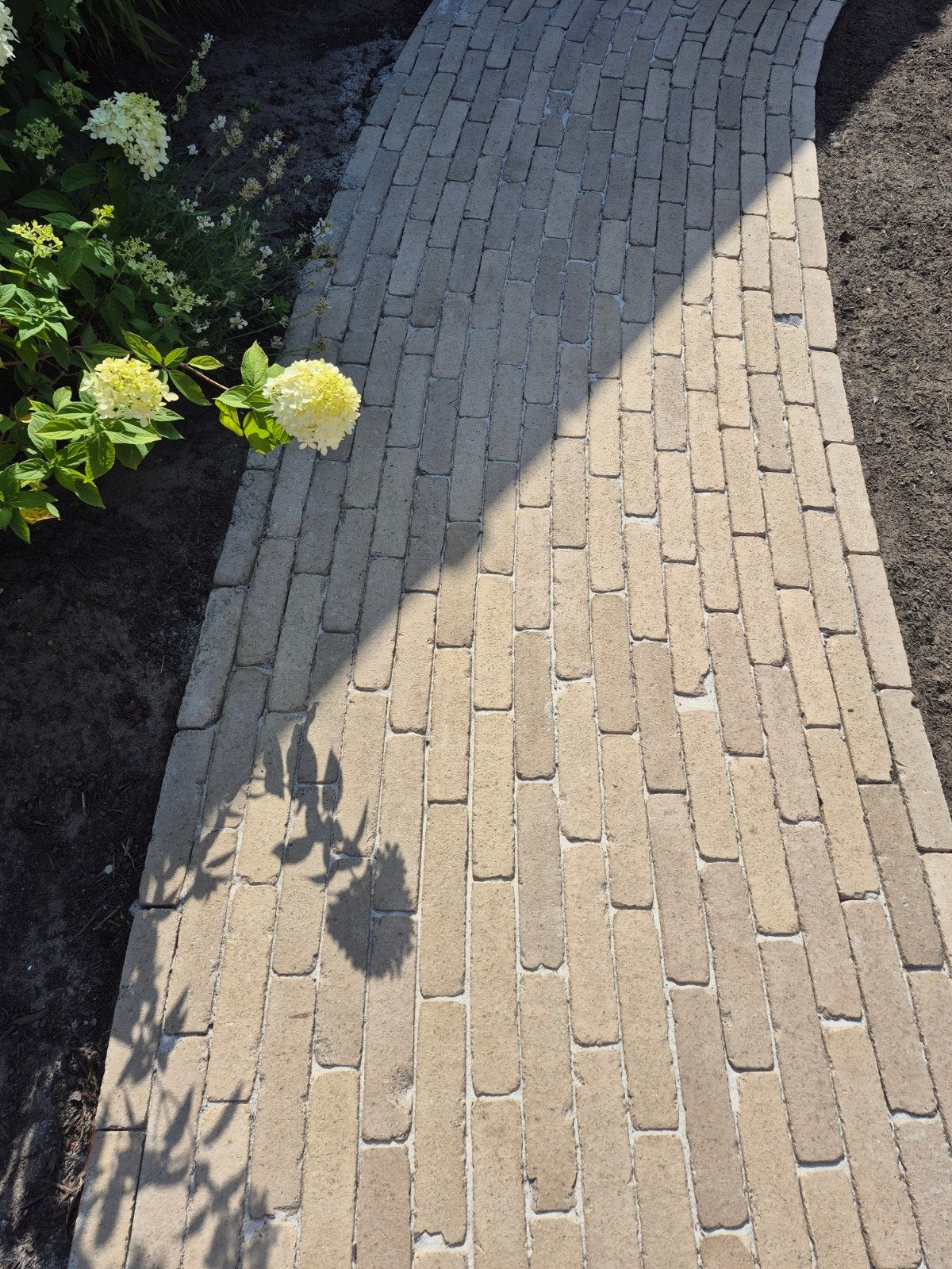 Waalformaat gebakken beige klinkers 1,5 m2, Tuin en Terras, Tegels en Klinkers, Ophalen, Nieuw, Overige materialen, Klinkers