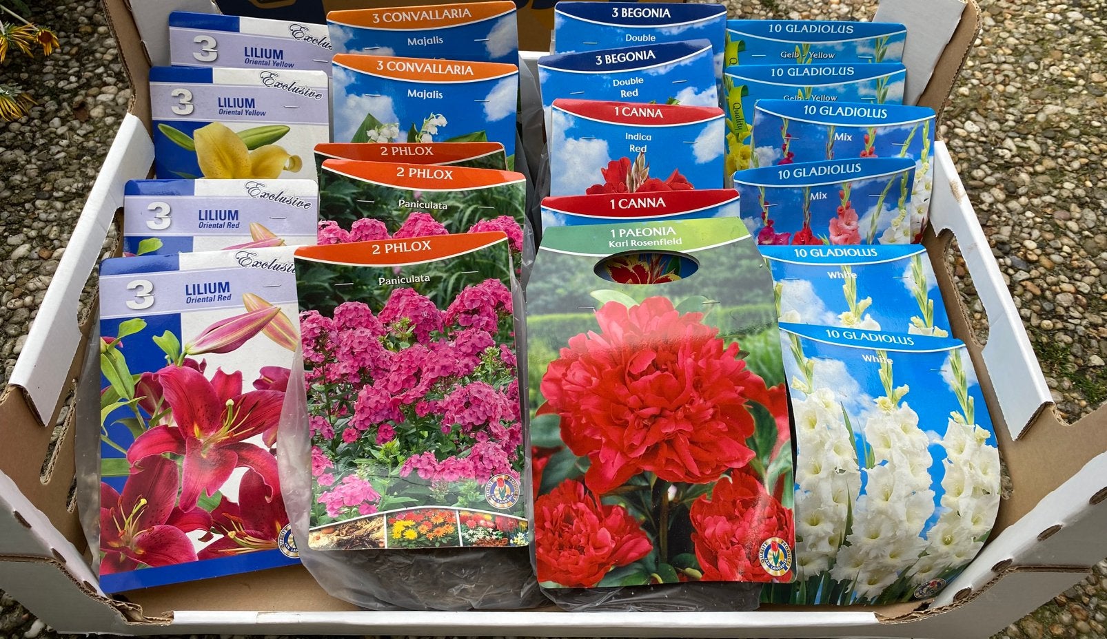 93 bloembollen, Tuin en Terras, Bloembollen en Zaden, Ophalen, Volle zon, Bloembol