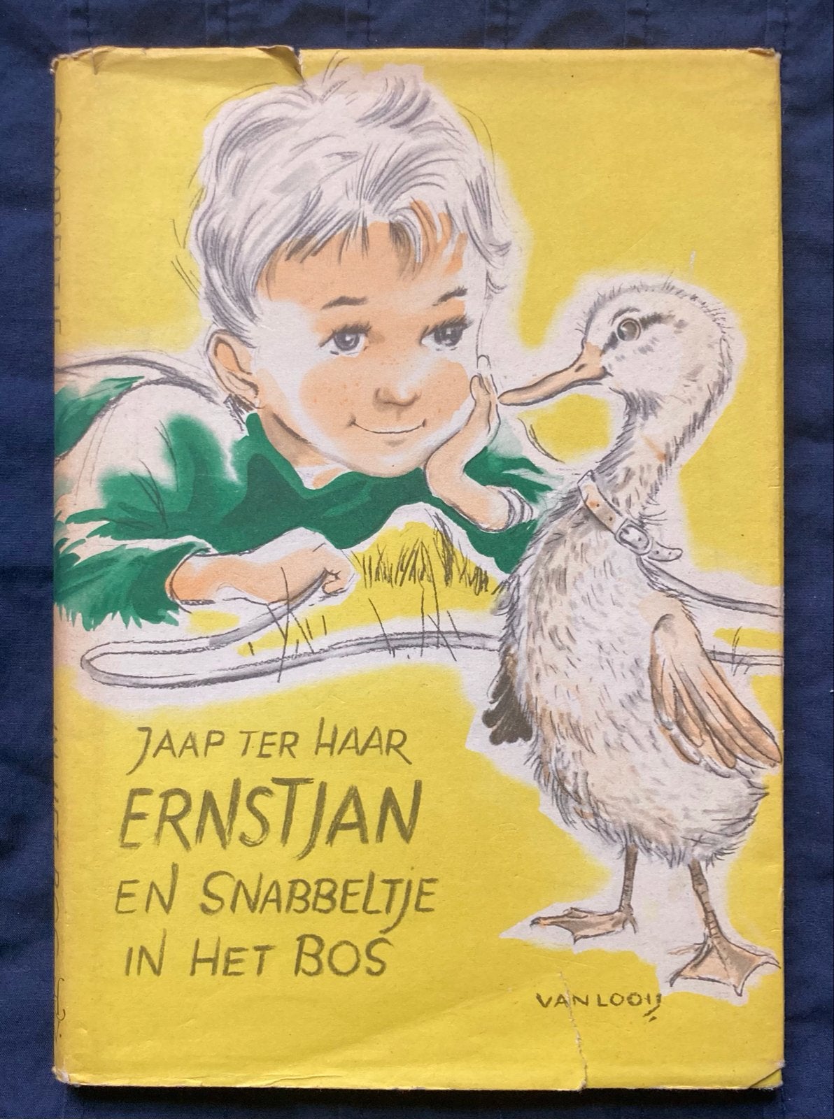 Ernstjan en Snabbeltje in het bos - Jaap ter Haar, Ophalen of Verzenden, Gelezen, Fictie algemeen