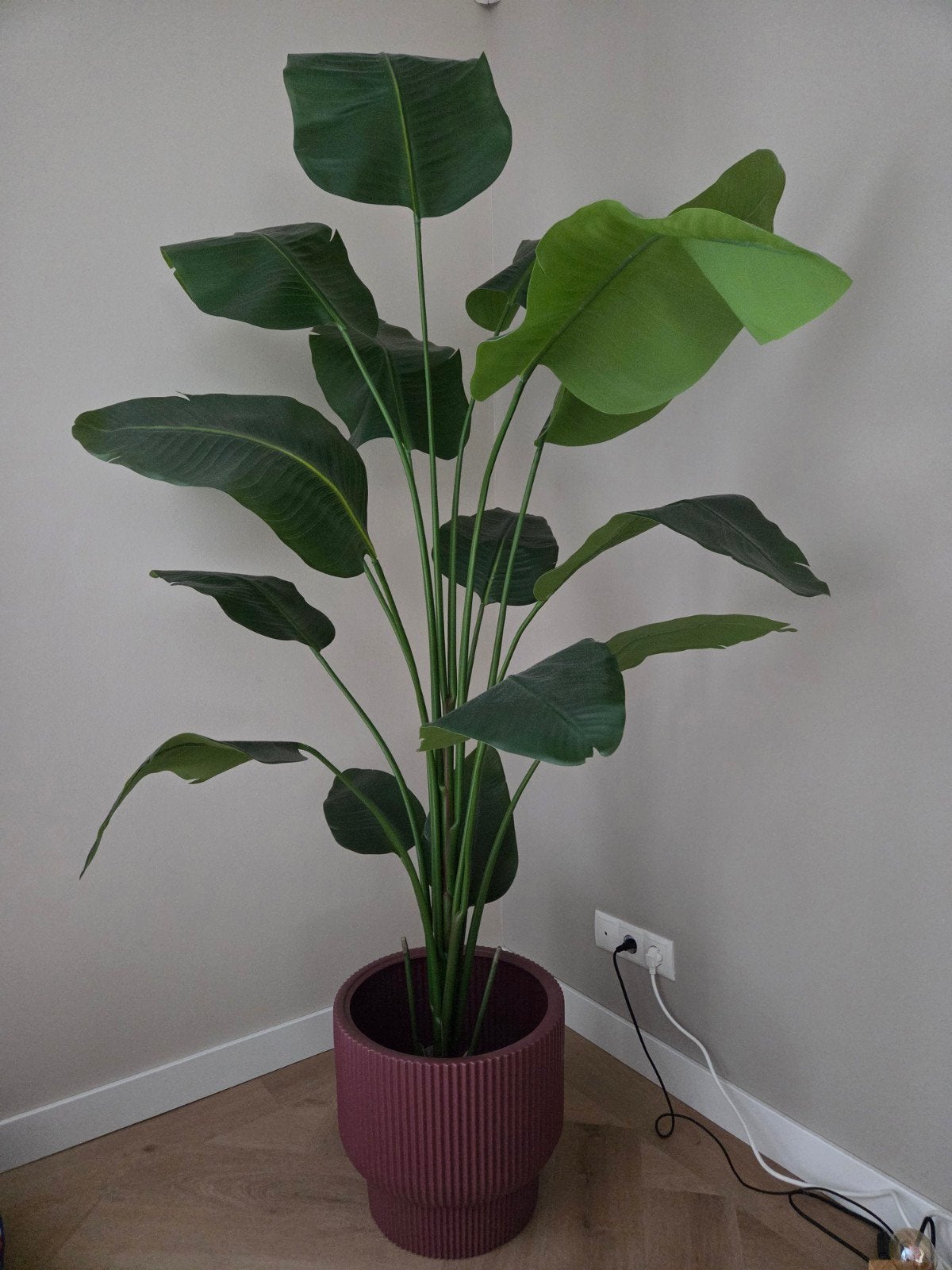 Kunstplant Strelitzia 210 cm, Huis en Inrichting, Kamerplanten, Ophalen, Halfschaduw, 200 cm of meer