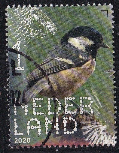 BDN – Bos- en heidevogels – zwarte mees – gebruik- NVPH 3866, Verzenden, Na 1940, Gestempeld