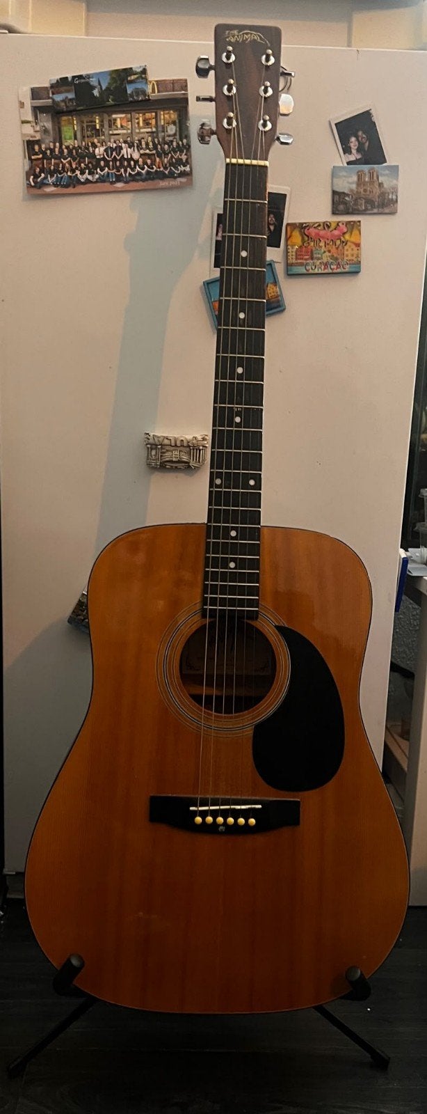 acoustic guitar for sale