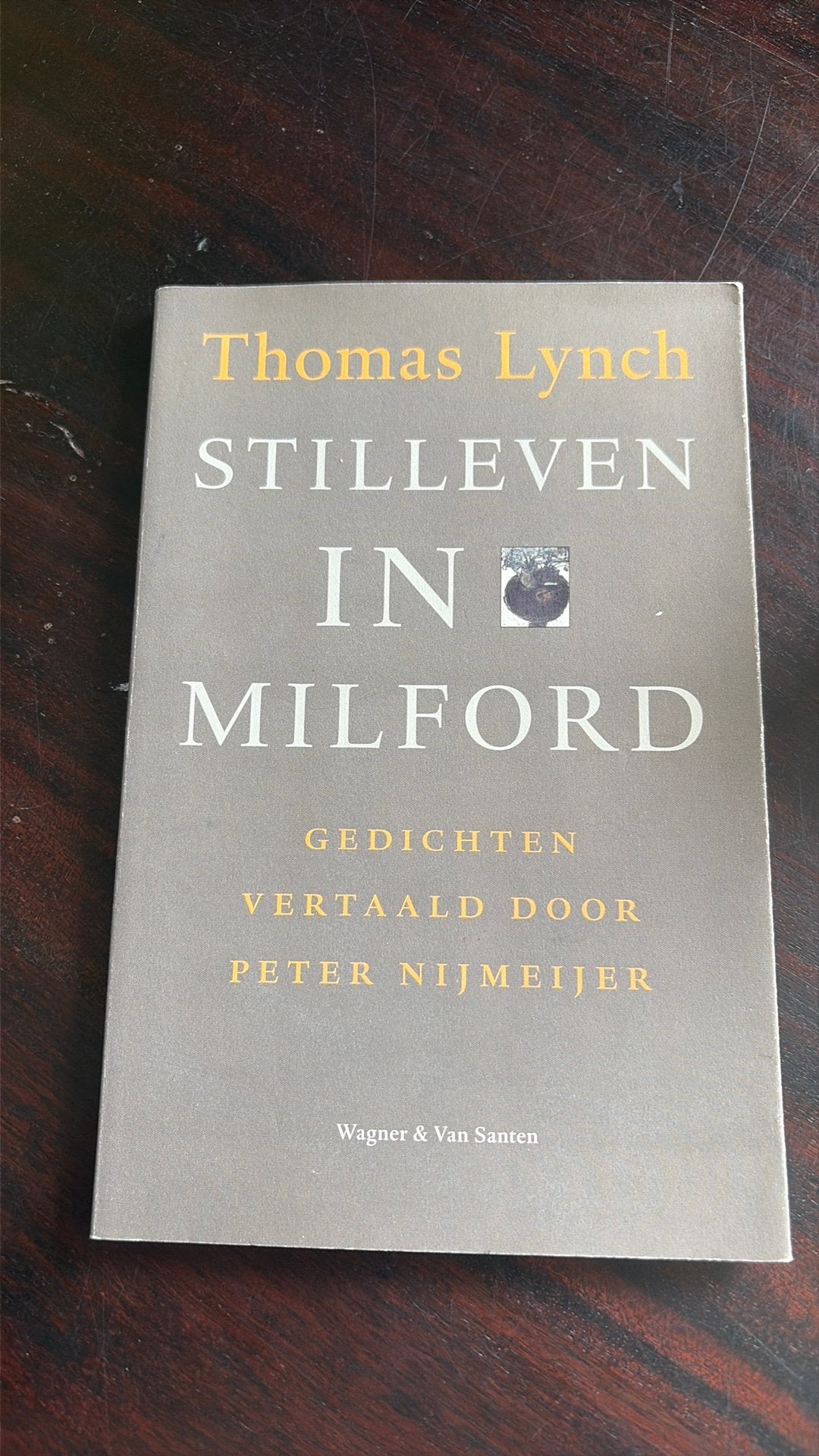 Stilleven in Milford - Thomas Lynch, Boeken, Ophalen of Verzenden, Gelezen, Eén auteur