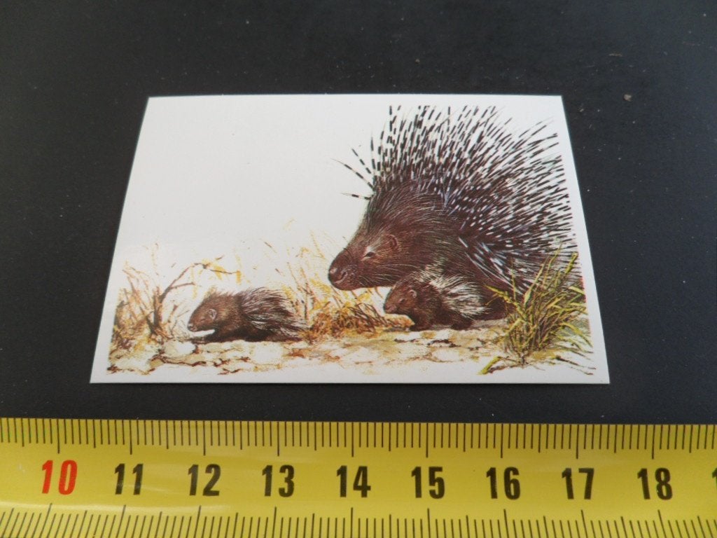 sticker strip dier #83 stekelvarken, Ophalen of Verzenden, Zo goed als nieuw