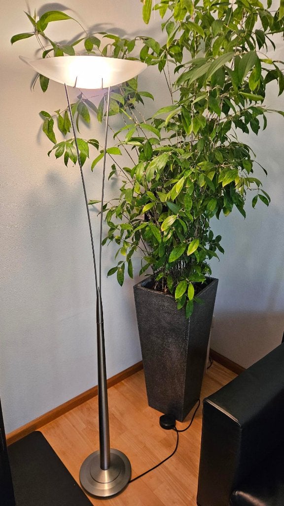 Lumina vloerlamp Ayla - Vintage - Tommaso Cimini, Ophalen, Gebruikt, Overige fittingen, Glas