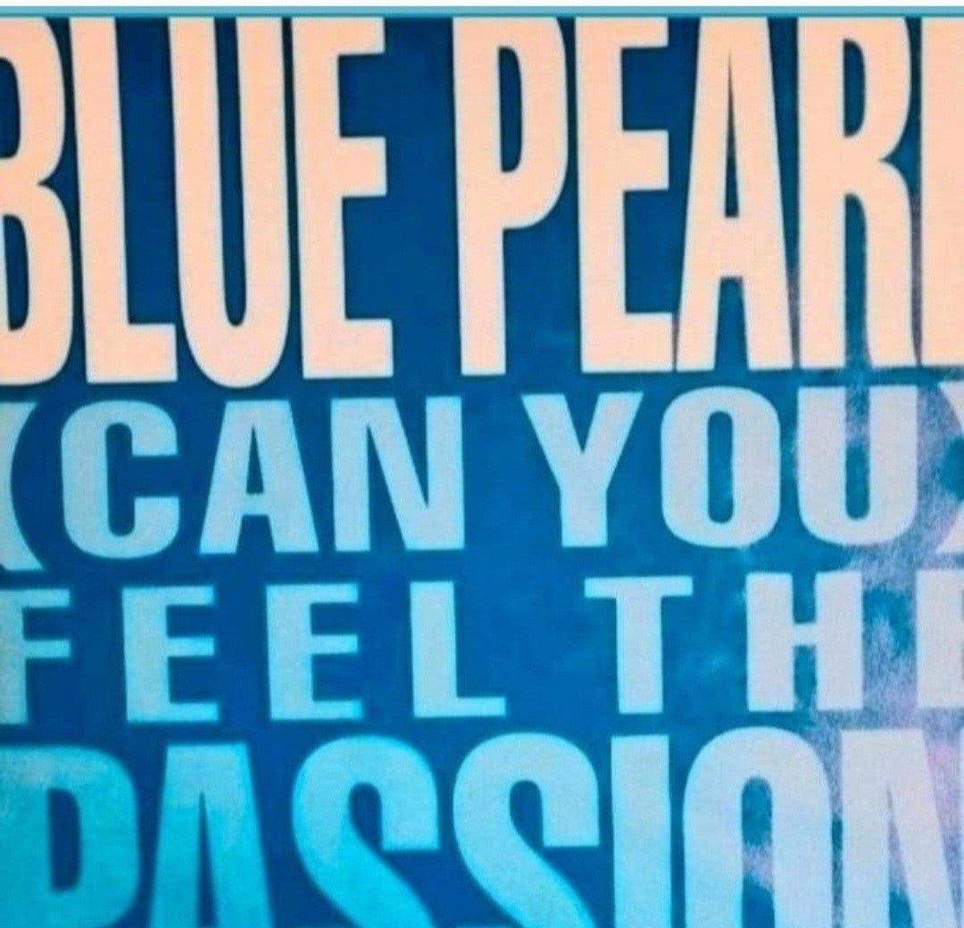 BLUE PEARL  - (CAN YOU) FEEL THE PASSION, Ophalen of Verzenden, Gebruikt, Pop
