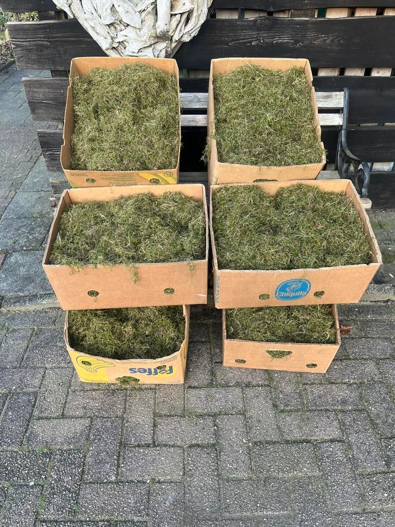 Decoratie mos bananendoos vol €11,50, Ophalen, Nieuw, Overige typen