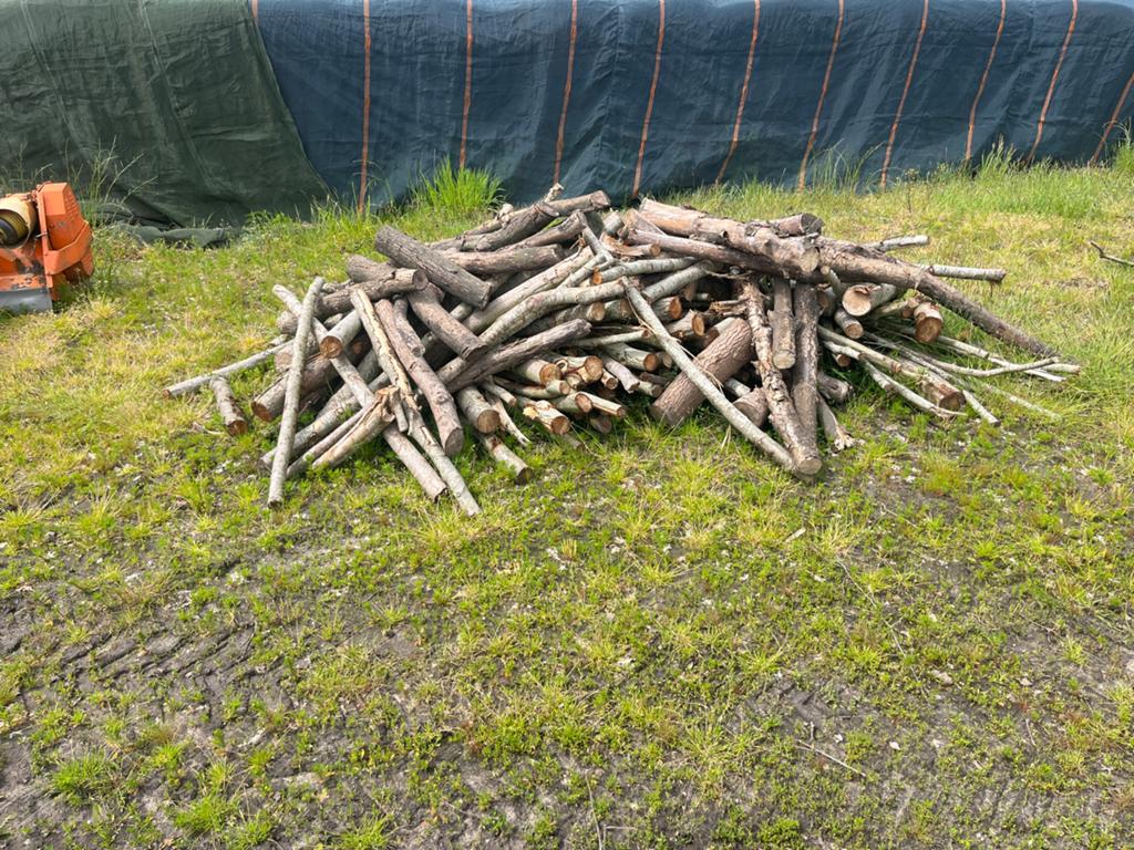 Brandhout, 3 tot 6 m³, Ophalen, Elzenhout, Stammen