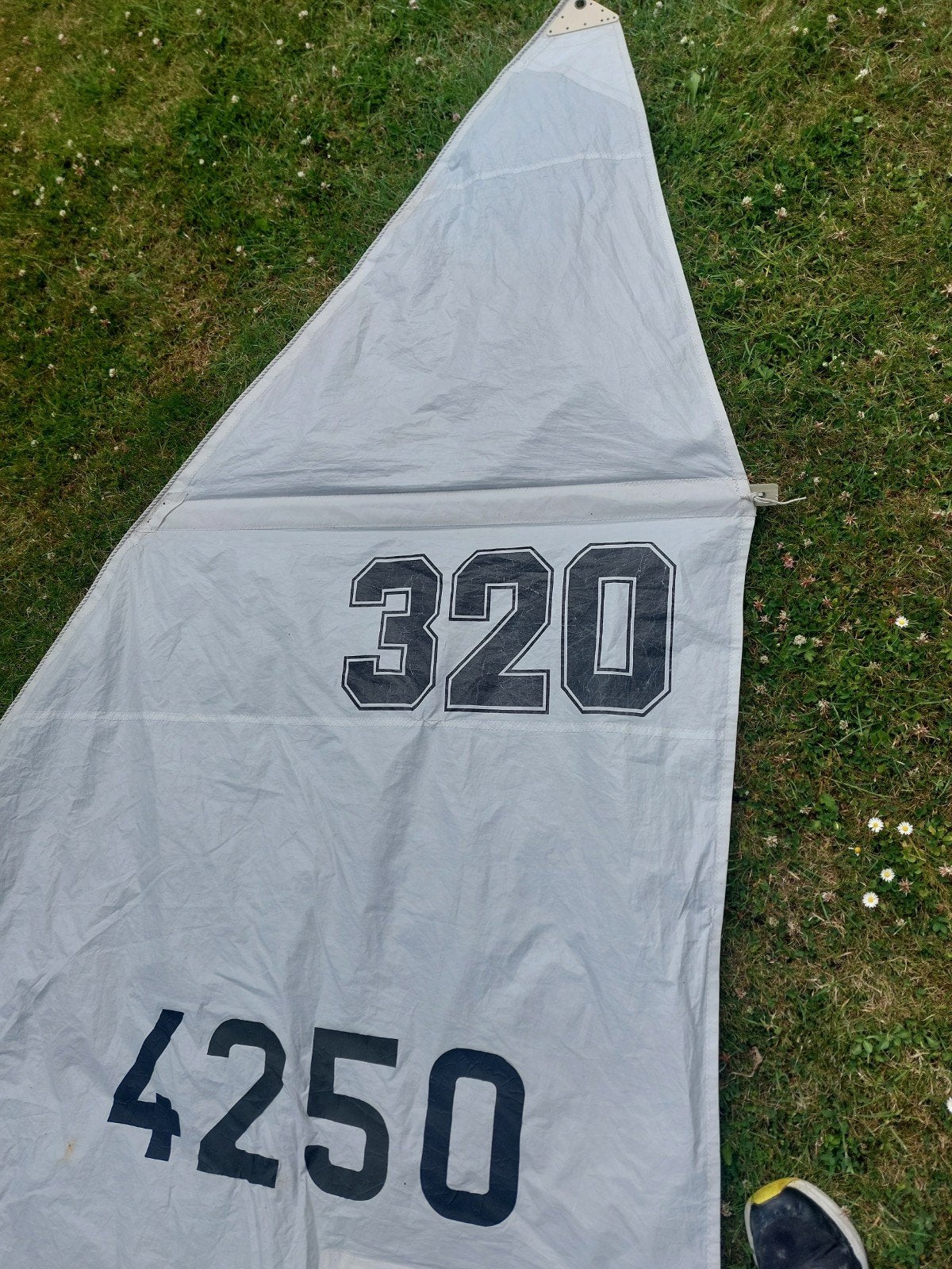 Grootzeil Tabur 320 compleet met giek en fok, Ophalen, Gebruikt, Grootzeil, Minder dan 15 m²