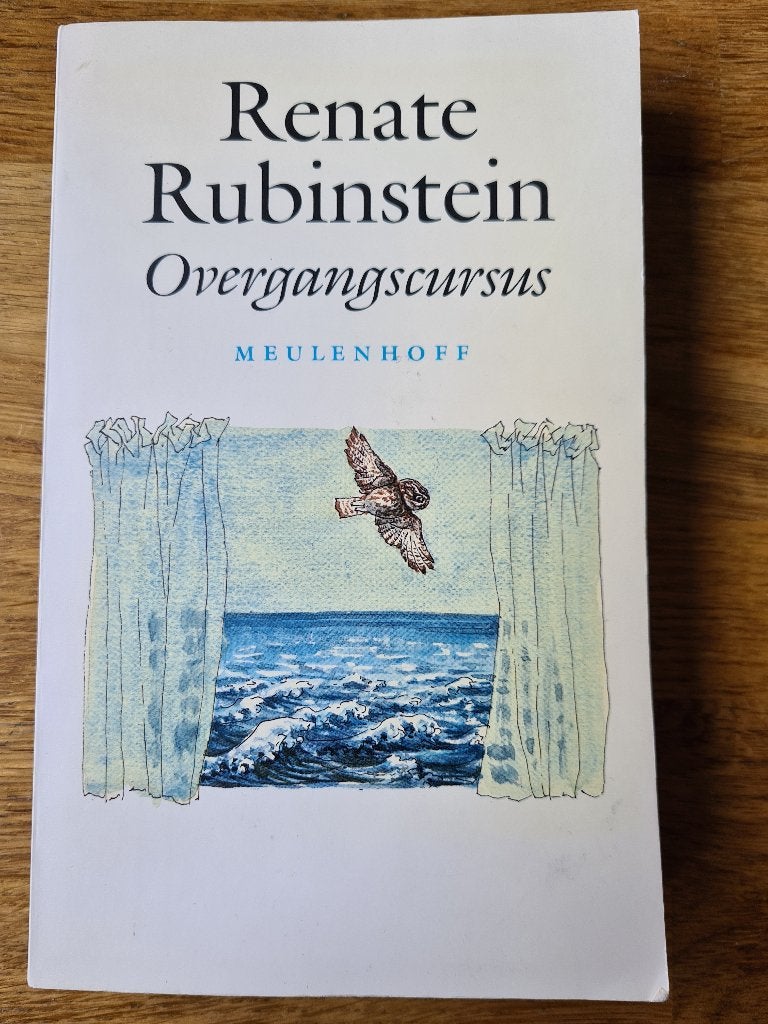 Boek Overgangscursus. Renate Rubinstein, Ophalen, Zo goed als nieuw, Renate Rubinstein
