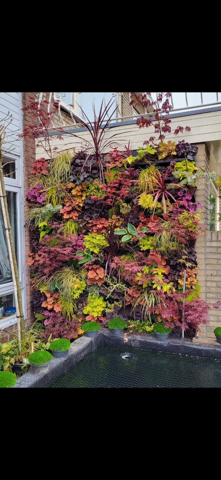 Plantenwand plantenbakken plantenmuur Living wall, Ophalen, Volle zon, Overige soorten, 100 tot 250 cm