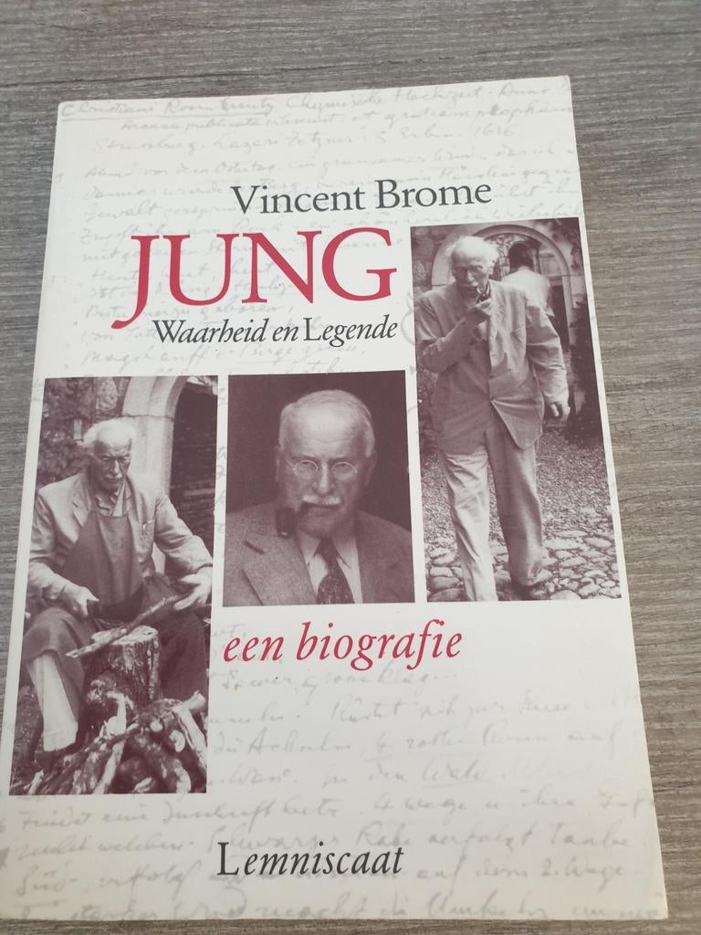Jung: Waarheid en Legende - Een biografie, Boeken, Ophalen of Verzenden, Gelezen, Vincent Brome, Wetenschap