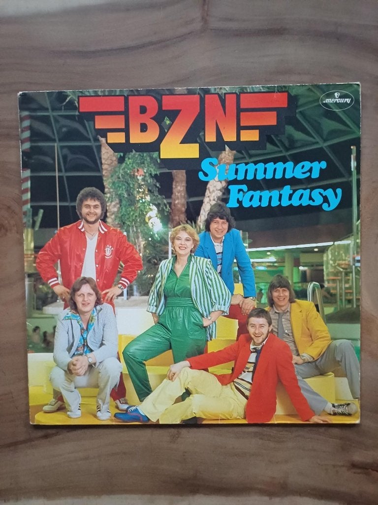 BZN - Summer Fantasy - Vinyl, Ophalen, Gebruikt