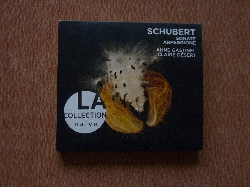 Schubert Sonate Arpeggione - Anne Gastinel, Schubert, Overige typen, Ophalen of Verzenden, Zo goed als nieuw