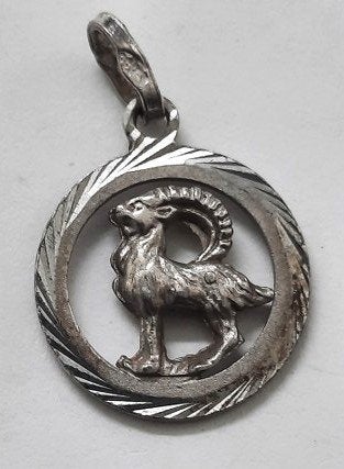 Vintage zilveren hanger sterrenbeeld Steenbok 835  (7545), Nieuw, Ophalen of Verzenden, Kruis of Symbool, Zilver
