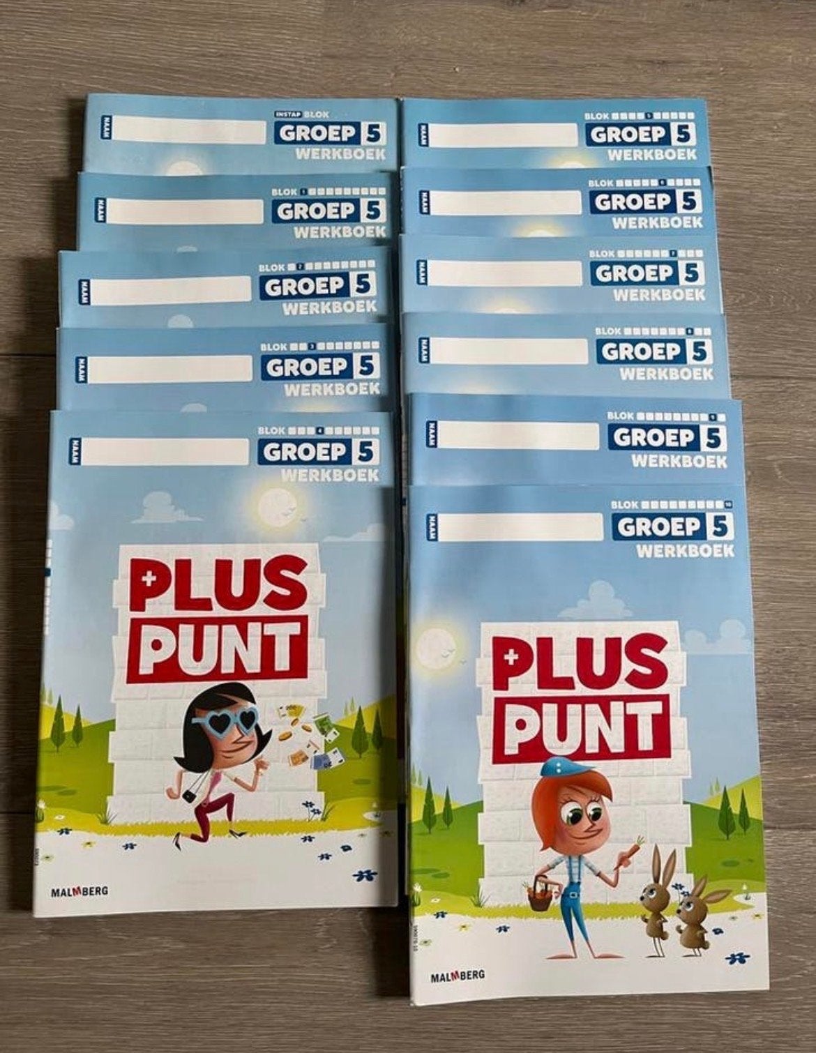 Pluspunt rekenen groep 5 complete set werkboeken, Ophalen of Verzenden, Zo goed als nieuw, Overige niveaus, Overige vakken