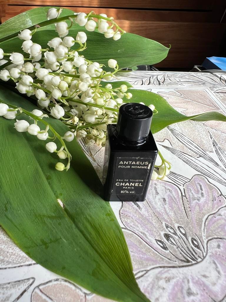 Chanel Antaeus Pour Homme Eau de Toilette 80% vol, Verzenden, Gebruikt