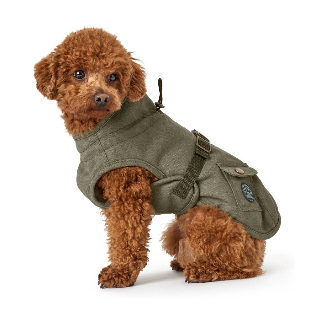 HUNTER Uppsala Trend Hondenjas Teddyvoering 40 cm Kaki -30%!, Dieren en Toebehoren, Nieuw, Ophalen of Verzenden, Gevoerd, Hunter