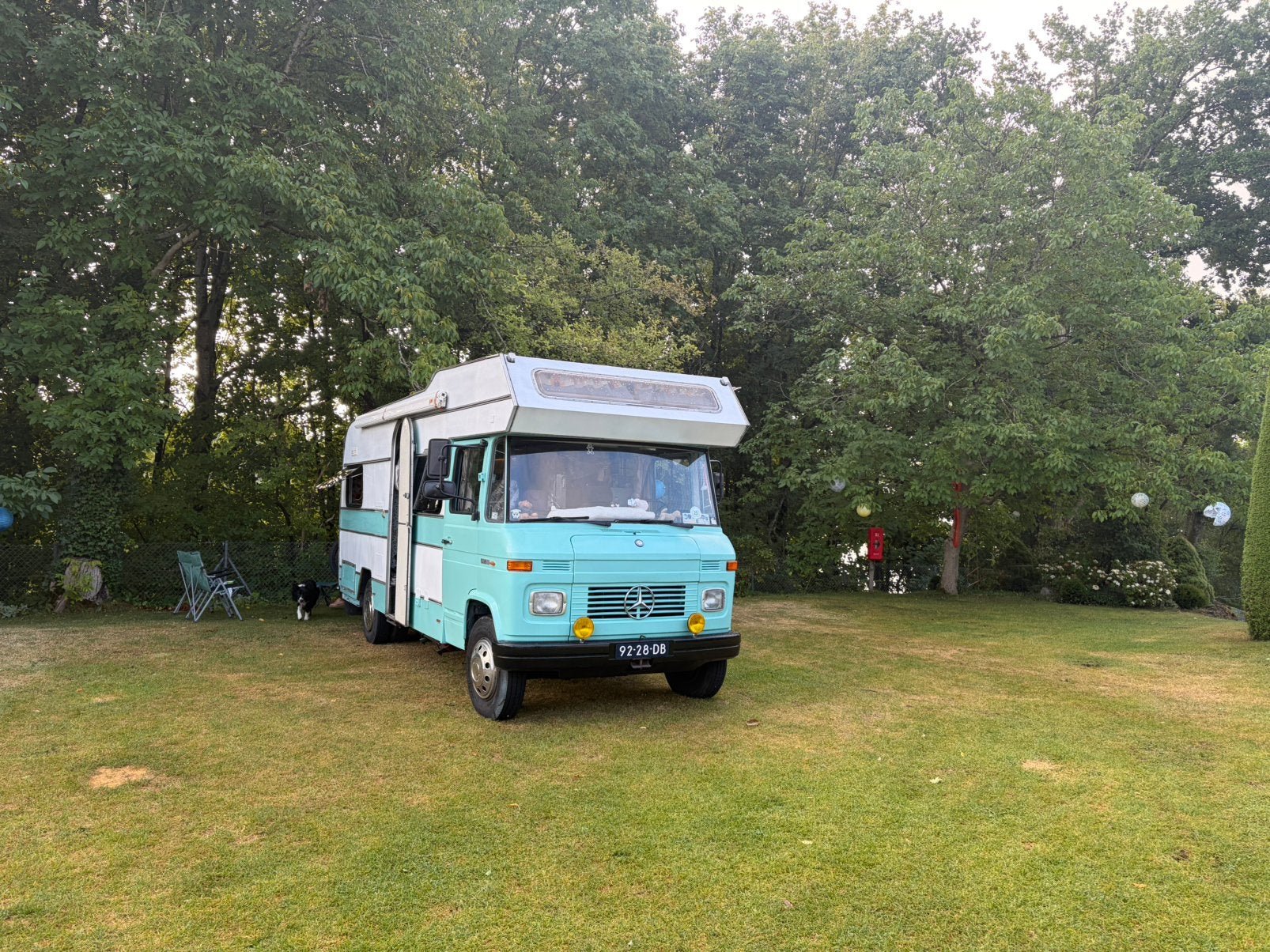 Belasting en apk vrije Mercedes 608D 1975, Caravans en Kamperen, Campers, Particulier, 4 tot 5 meter, Half-integraal, Mercedes