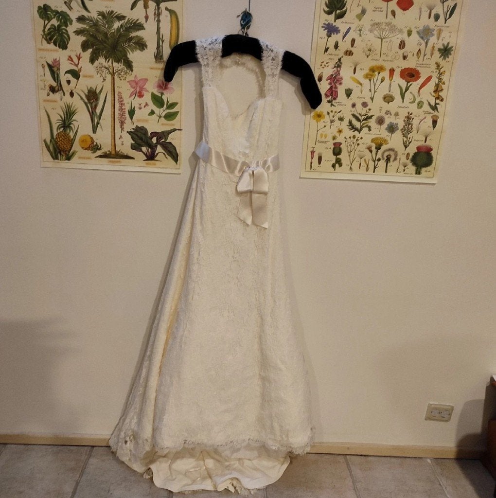 Wedding dress, Ophalen, Trouwjurk, Paloma Bianca, Beige
