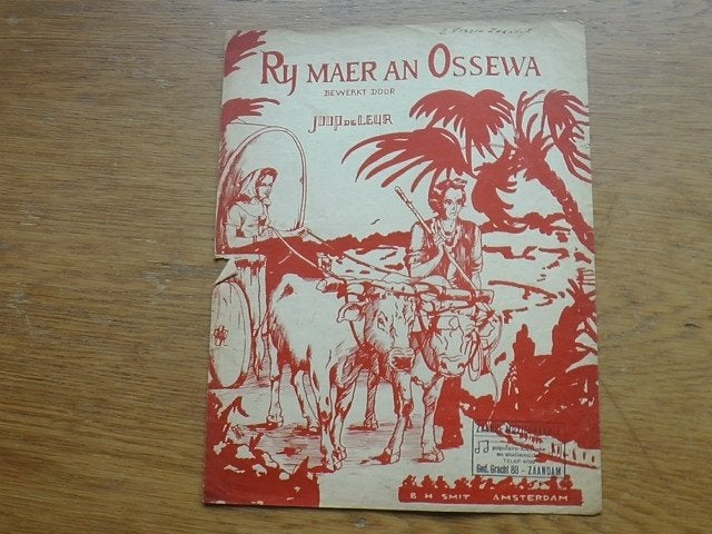 RY MAER AN OSSEWA, Ophalen of Verzenden, Gebruikt, Artiest of Componist, Populair