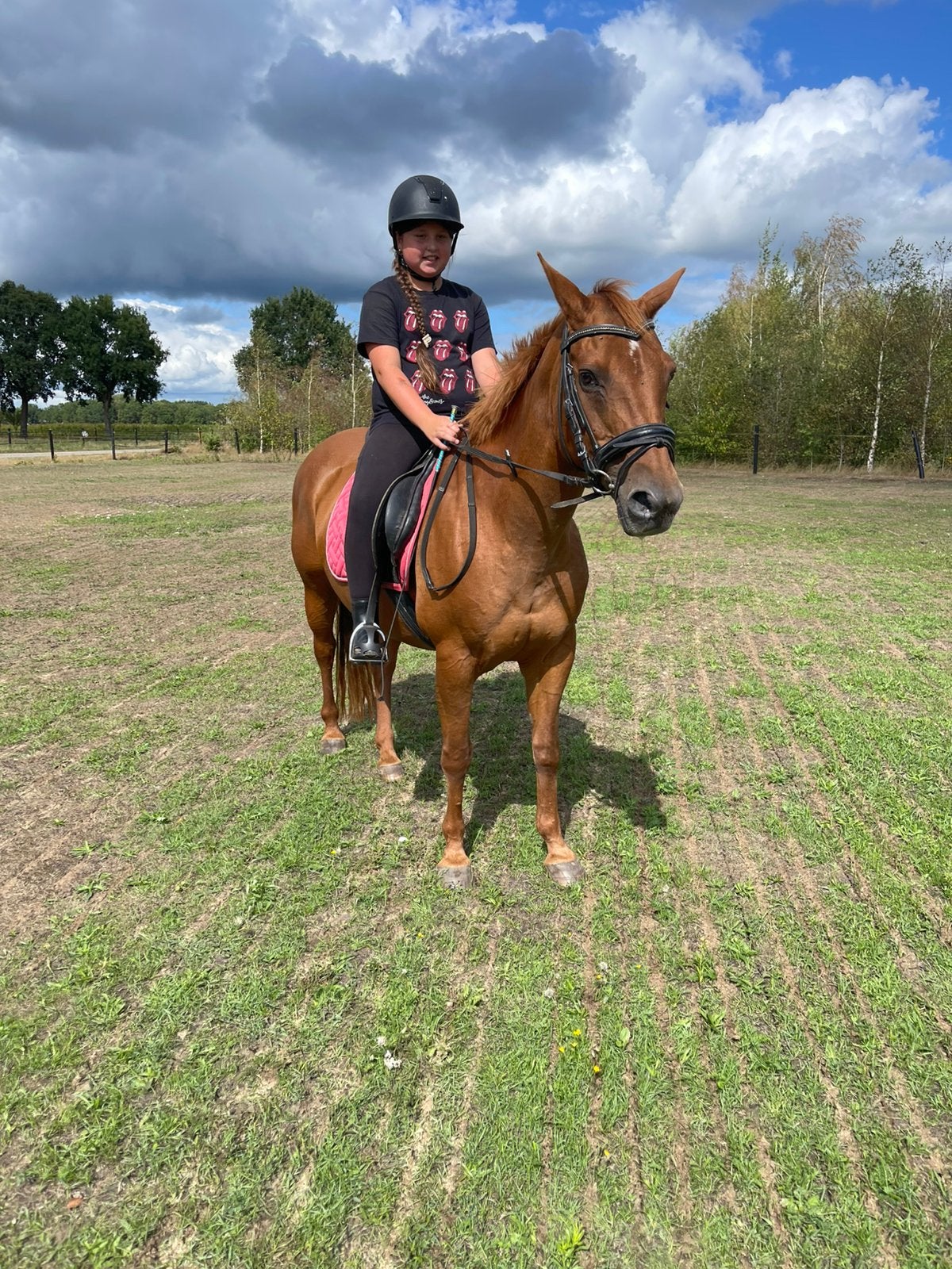 Super lieve D-pony - 15 jaar, Merrie, Gechipt, 11 jaar of ouder, Recreatiepony
