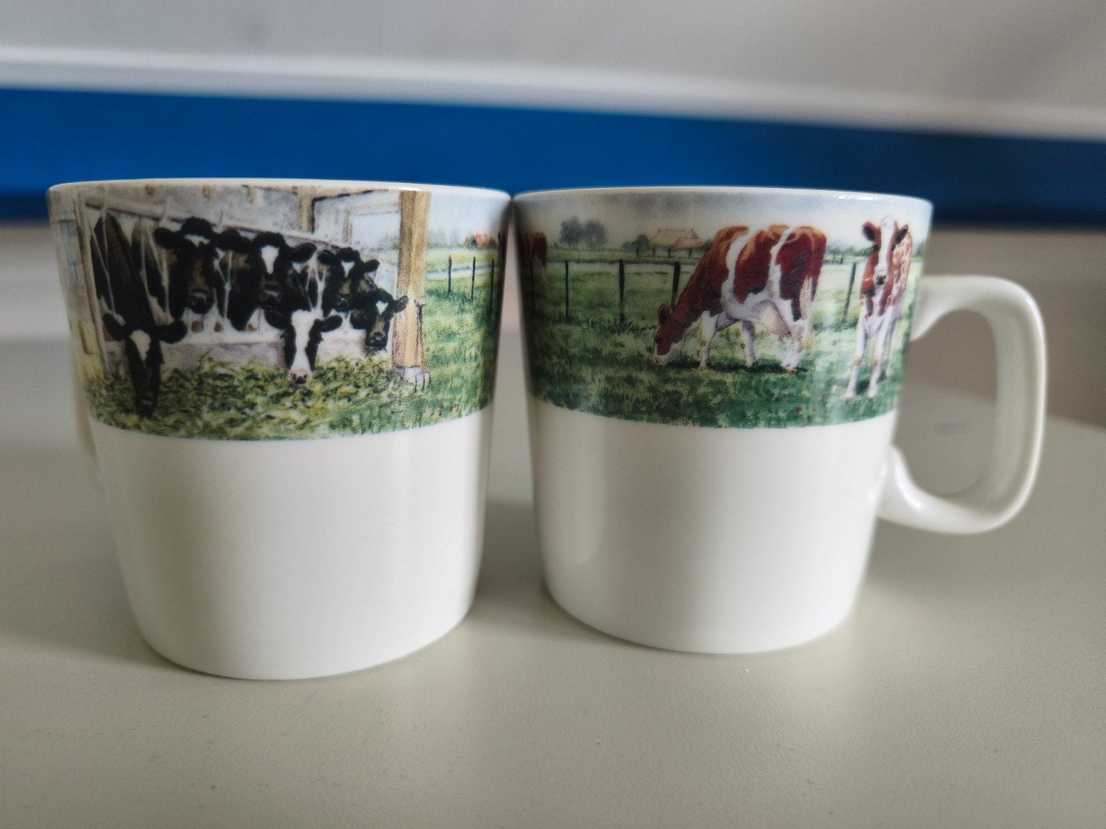 Set van 2 koffie kopjes van Wiebe van der zee Van Triest, Landelijk/Boerenbont, Ophalen of Verzenden, Zo goed als nieuw, Kop(pen) en/of Schotel(s)