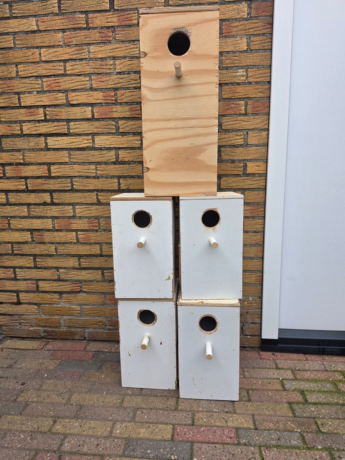 Tekoop  broed  blokken, Ophalen of Verzenden, Hout, Broedkooi of Kweekkooi