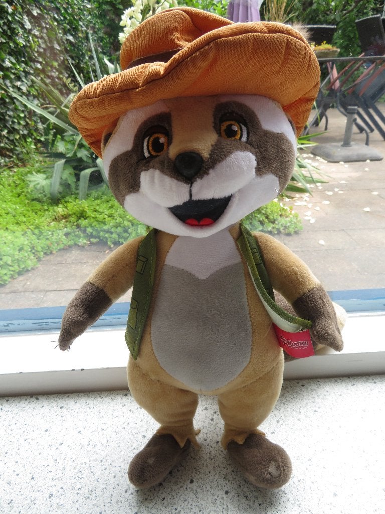 Wasbeer Randy Mascotte van Slagharen meet ca 30 cm, Ophalen of Verzenden, Zo goed als nieuw, Beer, Middelgroot (20 tot 80 cm)
