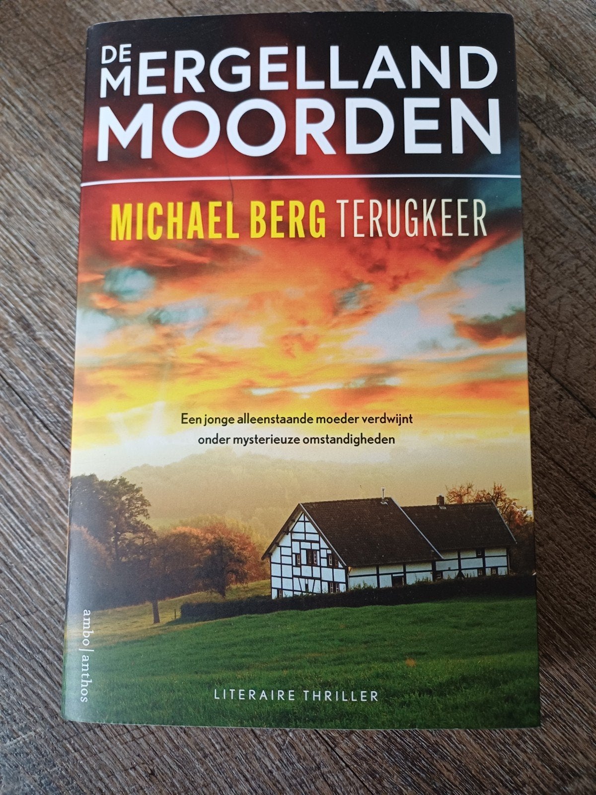 Michael Berg - Terugkeer - De Mergellandmoorden, Boeken, Ophalen of Verzenden, Zo goed als nieuw, Michael Berg, Nederland