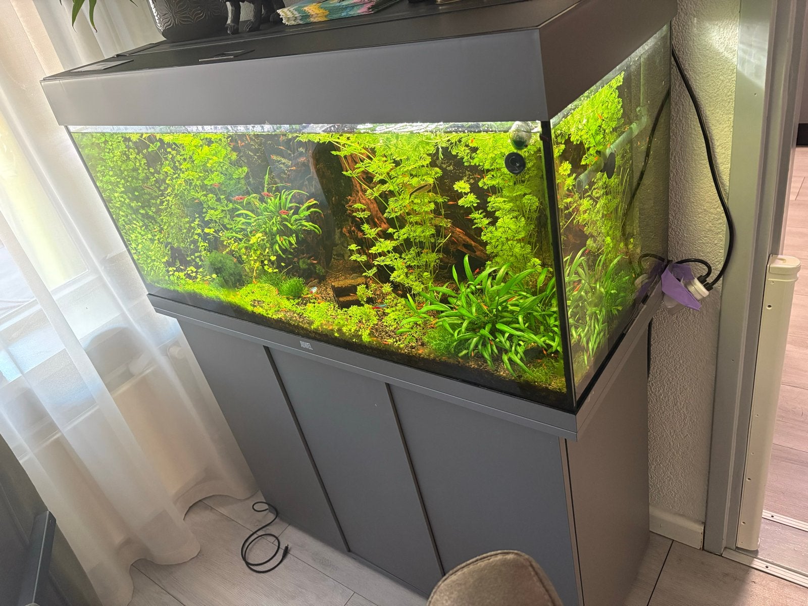 Juwel 180 aqarium incl. Externe pomp en ledlamp op Bluetooth, Dieren en Toebehoren, Vissen | Aquaria en Toebehoren, Ophalen, Zo goed als nieuw