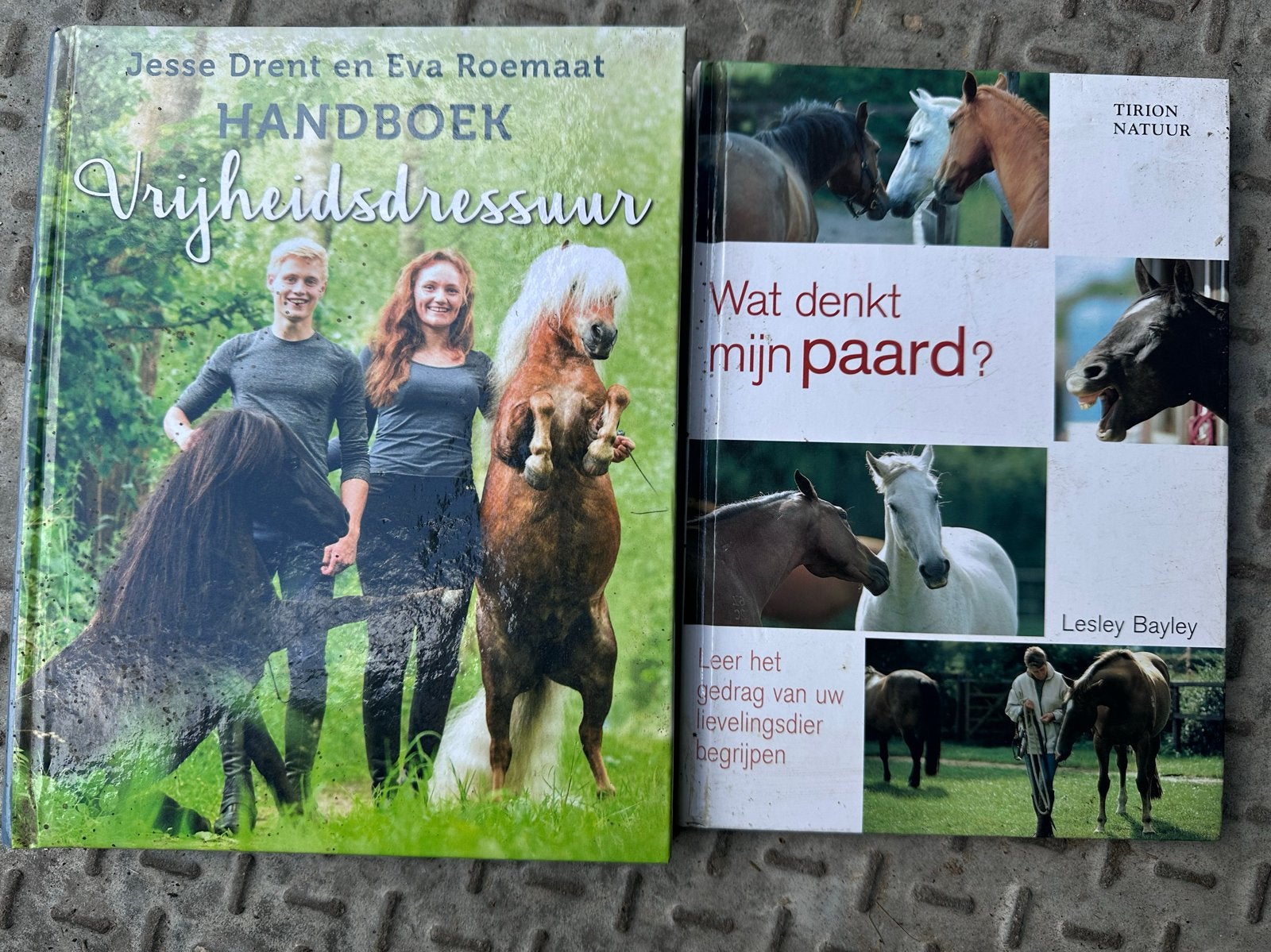 Boeken: Vrijheidsdressuur Handboek & Wat denkt mijn paard?, Boeken, Ophalen, Gelezen, Paarden of Pony's
