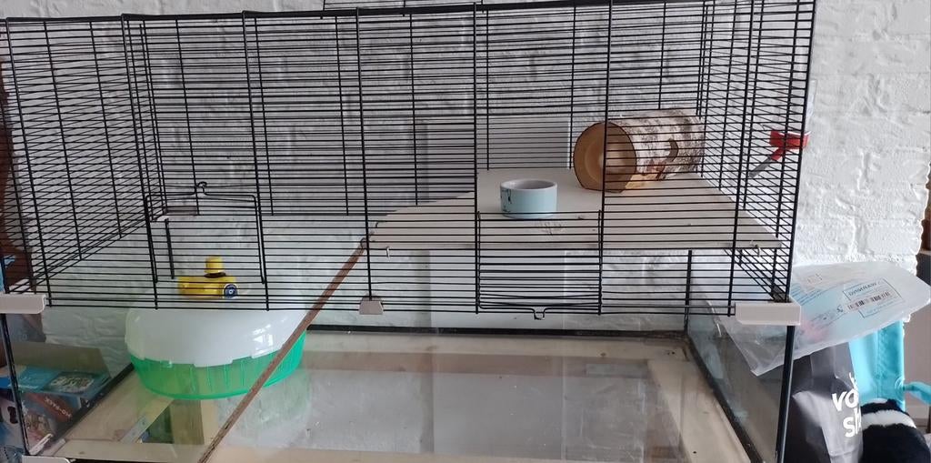 Hamsterkooi 120x50, Ophalen, Kooi, 60 tot 90 cm, Hamster