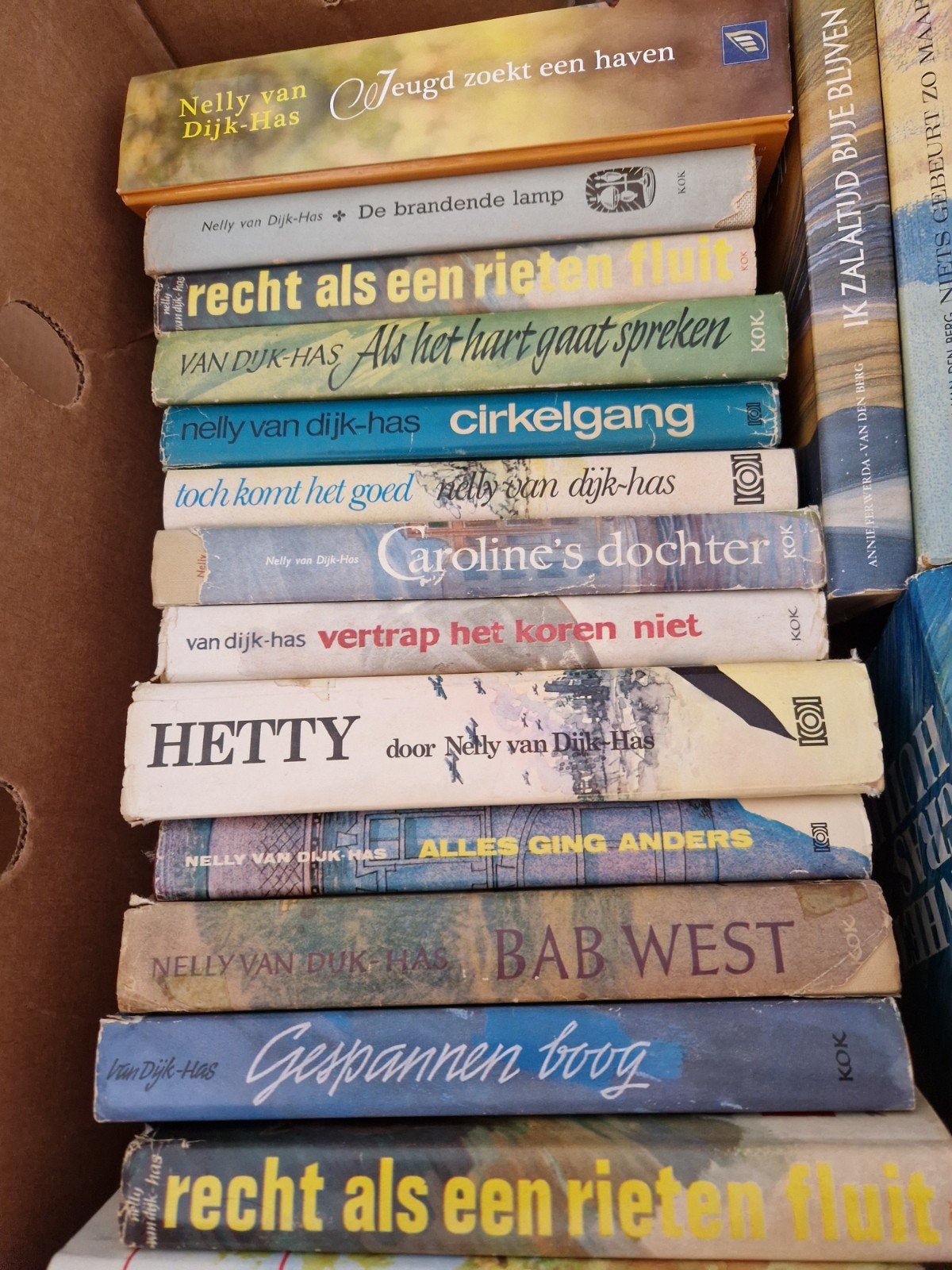 Nelly van Dijk-Has boeken collectie, Boeken, Ophalen of Verzenden, Gelezen, Nelly van Dijk-Has