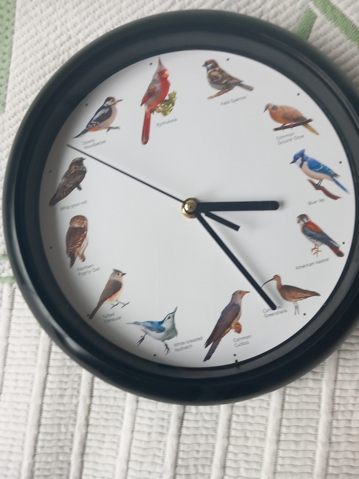 Wandklok met vogelgeluiden - Zwart, Analoog, Ophalen of Verzenden, Overige typen