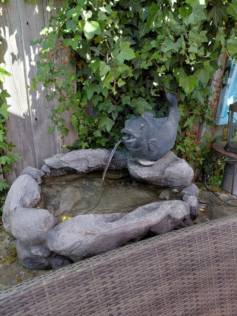 Fonteintje Vis, Tuin en Terras, Ophalen