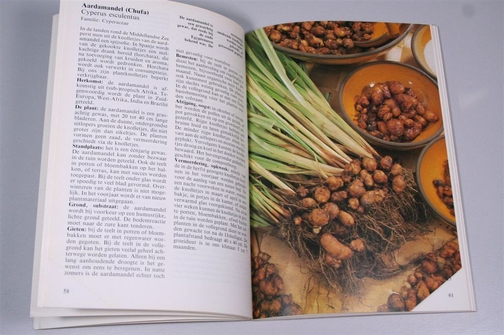 Avocado tot Zoete Aardappel — Zelf telen — 1990, Ophalen of Verzenden, Gelezen, Interieur en Design