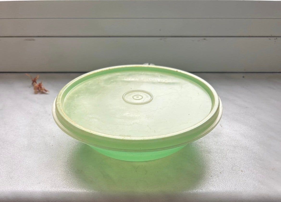 Tupperware schaal met deksel - Gebruikt, Gebruikt, Schaal, Ophalen of Verzenden, Met deksel